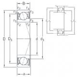 Rodamiento VEB 50 /S 7CE3 SNFA