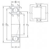 Rodamiento VEB 55 /NS 7CE1 SNFA